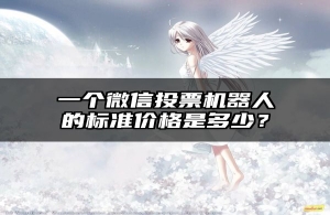 一个微信投票机器人的标准价格是多少？