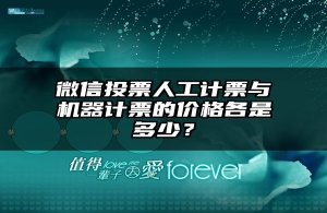 微信投票人工计票与机器计票的价格各是多少？