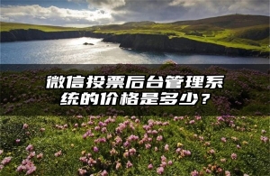 微信投票后台管理系统的价格是多少？