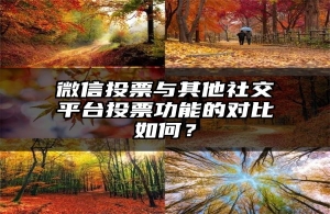 微信投票与其他社交平台投票功能的对比如何？