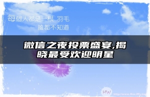 微信之夜投票盛宴,揭晓最受欢迎明星