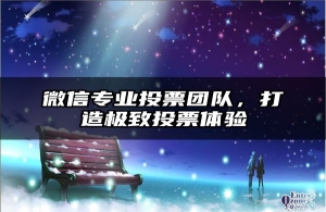 微信专业投票团队，打造极致投票体验
