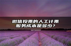 微信投票的人工计票服务成本是多少？