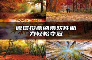微信投票刷票软件助力轻松夺冠