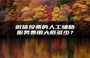 微信投票的人工辅助服务费用大概多少？