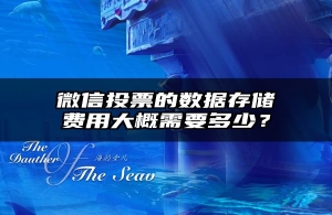 微信投票的数据存储费用大概需要多少？