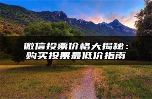 微信投票价格大揭秘：购买投票最低价指南