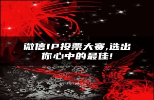 微信IP投票大赛,选出你心中的最佳!