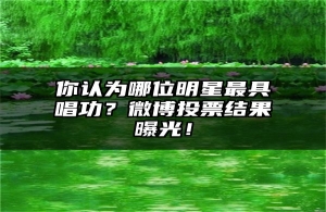 你认为哪位明星最具唱功？微博投票结果曝光！