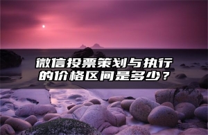 微信投票策划与执行的价格区间是多少？