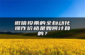 微信投票的全自动化操作价格是如何计算的？