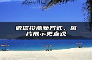 微信投票新方式，图片展示更直观
