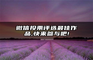 微信投票评选最佳作品,快来参与吧!