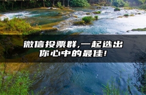 微信投票群,一起选出你心中的最佳!
