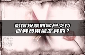 微信投票的客户支持服务费用是怎样的？