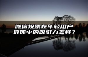 微信投票在年轻用户群体中的吸引力怎样？