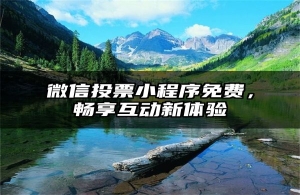 微信投票小程序免费，畅享互动新体验