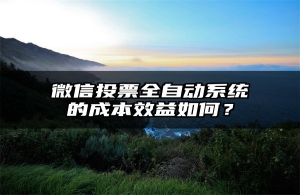 微信投票全自动系统的成本效益如何？