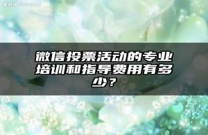 微信投票活动的专业培训和指导费用有多少？