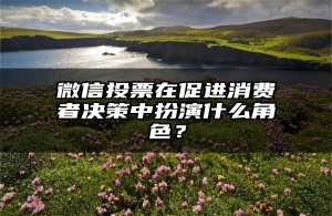 微信投票在促进消费者决策中扮演什么角色？