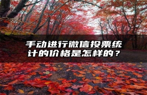 手动进行微信投票统计的价格是怎样的？
