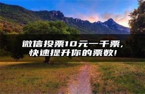 微信投票10元一千票,快速提升你的票数!