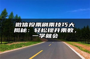 微信投票刷票技巧大揭秘：轻松提升票数，一学就会