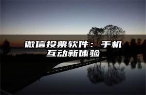 微信投票软件：手机互动新体验