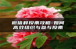 微信群投票攻略-如何高效组织与参与投票