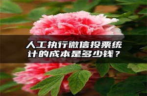 人工执行微信投票统计的成本是多少钱？