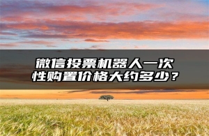 微信投票机器人一次性购置价格大约多少？