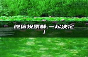 微信投票群,一起决定!
