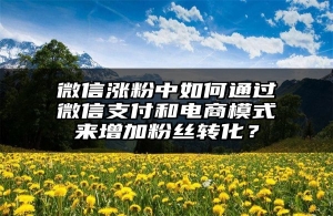微信涨粉中如何通过微信支付和电商模式来增加粉丝转化？