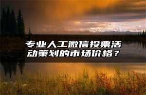专业人工微信投票活动策划的市场价格？
