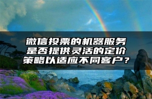 微信投票的机器服务是否提供灵活的定价策略以适应不同客户？