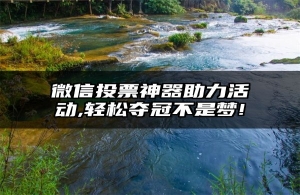 微信投票神器助力活动,轻松夺冠不是梦!