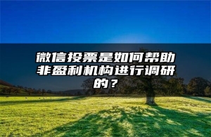 微信投票是如何帮助非盈利机构进行调研的？
