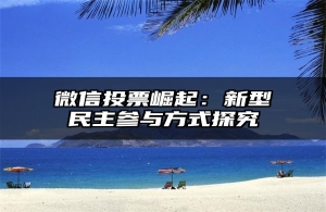 微信投票崛起：新型民主参与方式探究