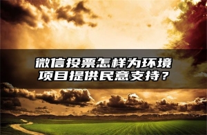 微信投票怎样为环境项目提供民意支持？