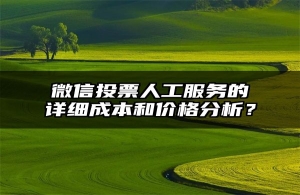 微信投票人工服务的详细成本和价格分析？