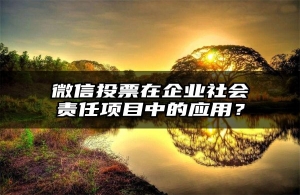 微信投票在企业社会责任项目中的应用？