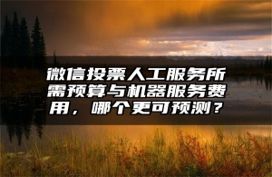 微信投票人工服务所需预算与机器服务费用，哪个更可预测？