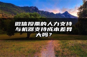 微信投票的人力支持与机器支持成本差异大吗？