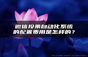 微信投票自动化系统的配置费用是怎样的？