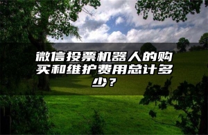 微信投票机器人的购买和维护费用总计多少？