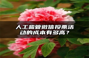 人工监管微信投票活动的成本有多高？