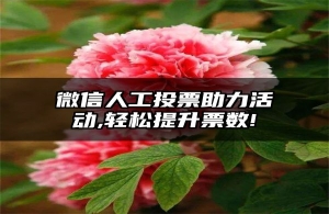 微信人工投票助力活动,轻松提升票数!