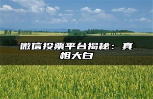 微信投票平台揭秘：真相大白