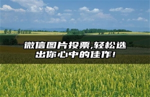 微信图片投票,轻松选出你心中的佳作!