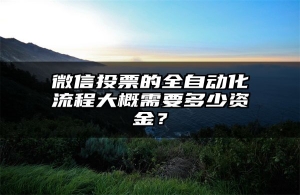微信投票的全自动化流程大概需要多少资金？
